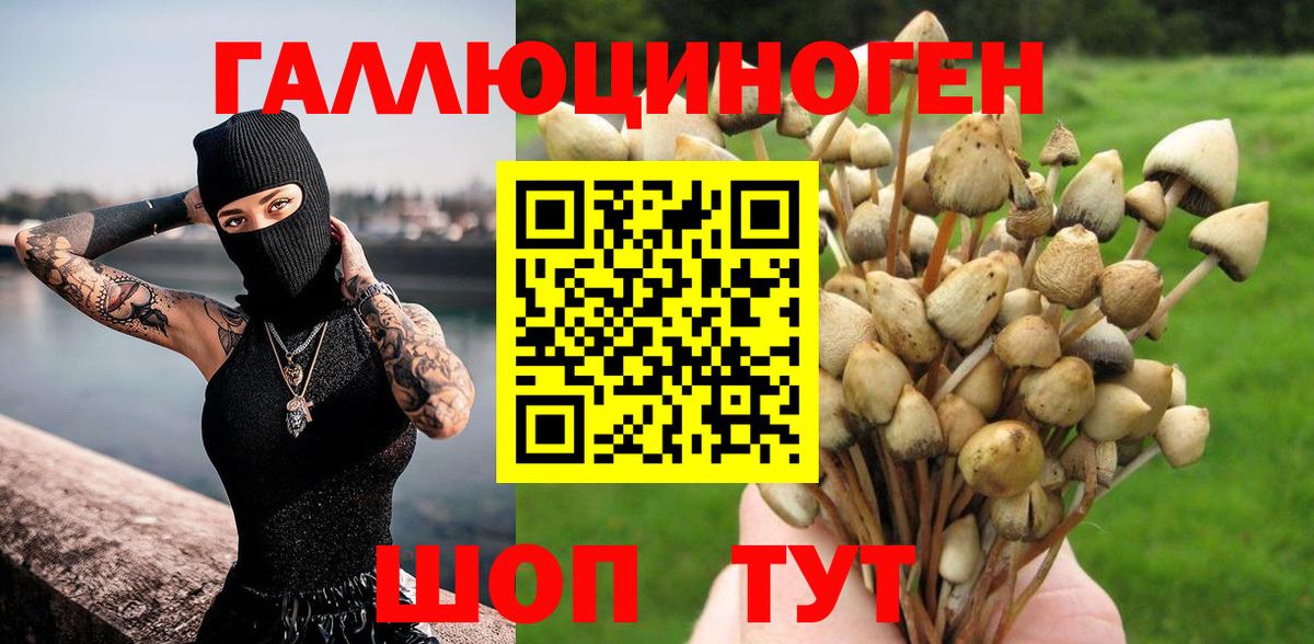 Галлюциногенные грибы Psilocybe  Псилоцибиновые грибы мухоморы  Грязи  хочу   Вход с VPN 