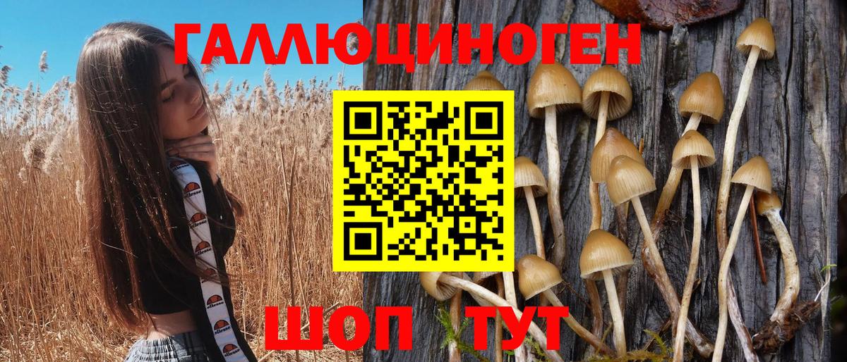 Галлюциногенные грибы GOLDEN TEACHER Грязи